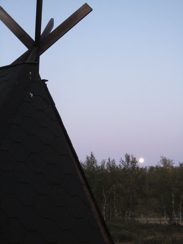 kesä 2011 320.jpg
